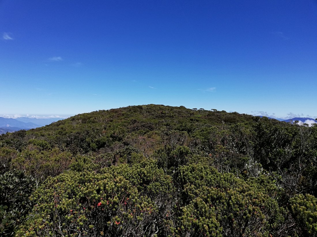 IMG_20181103_102950.jpg